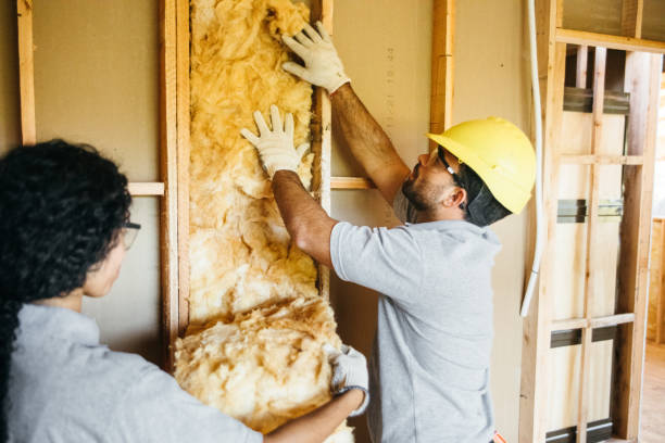 Professional Insulation Installation & Removal in Manchester, WA